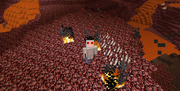 Wiz's Nether adventure