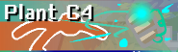 Plant C4