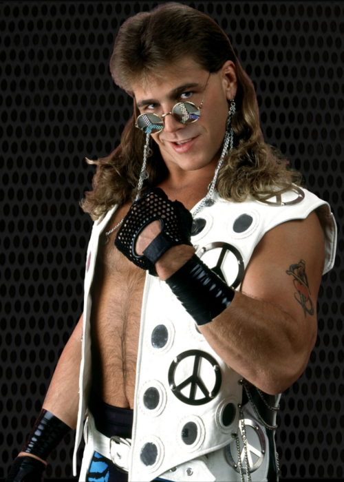 shawn michaels smackdown vs raw wiki fandom powered by wikia
