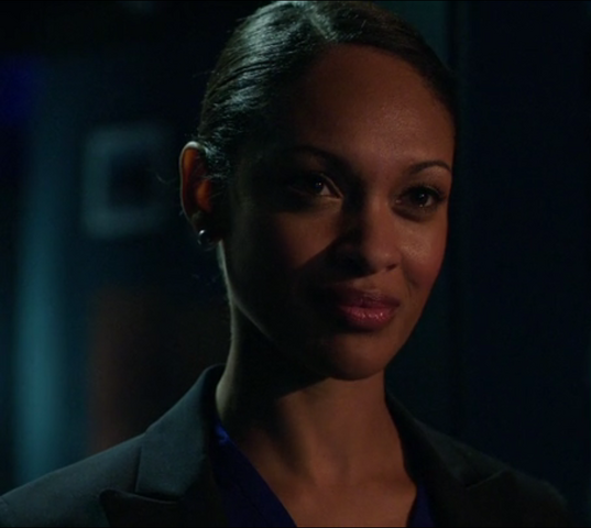 Image - Amanda Waller (Arrow) 002.png | Smallville Wiki | FANDOM ...