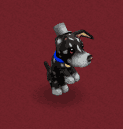 Dog Beg