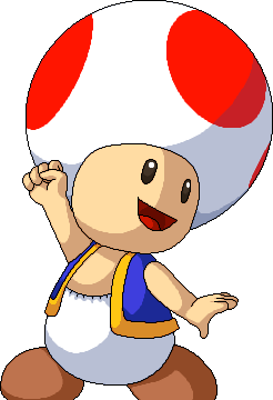 toad latest version