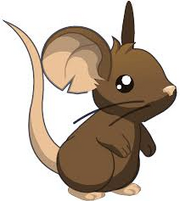 Raton de transformice