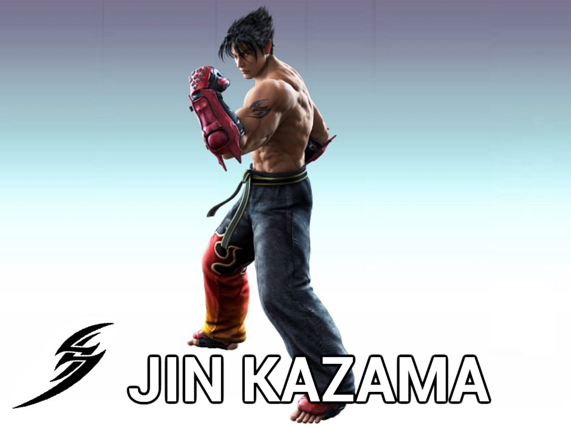  Jin  Kazama World of Smash Bros Lawl Wiki FANDOM 