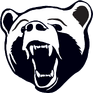 Bear Cavalry