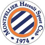 Logo MHSC
