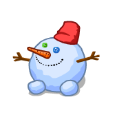 170x170 snow