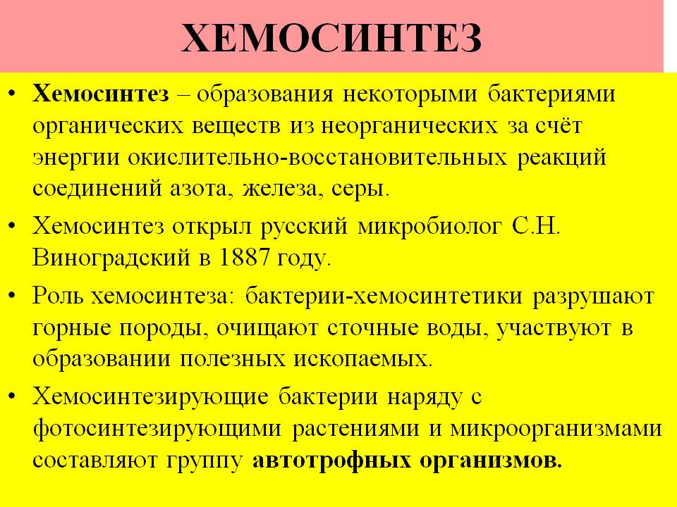 Есть фото и хемосинтетики бактерии или растения