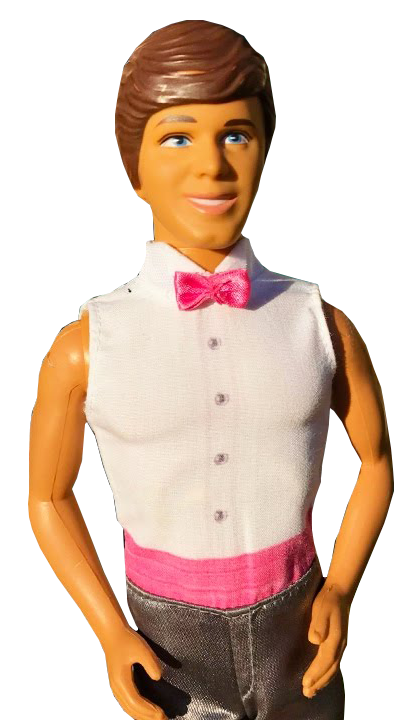 poseable ken