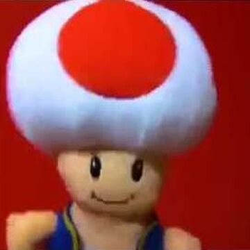 Toad S The Best Supermariologan Wiki Fandom