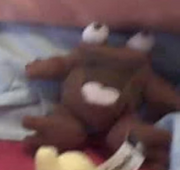 Brown Quiggles -2