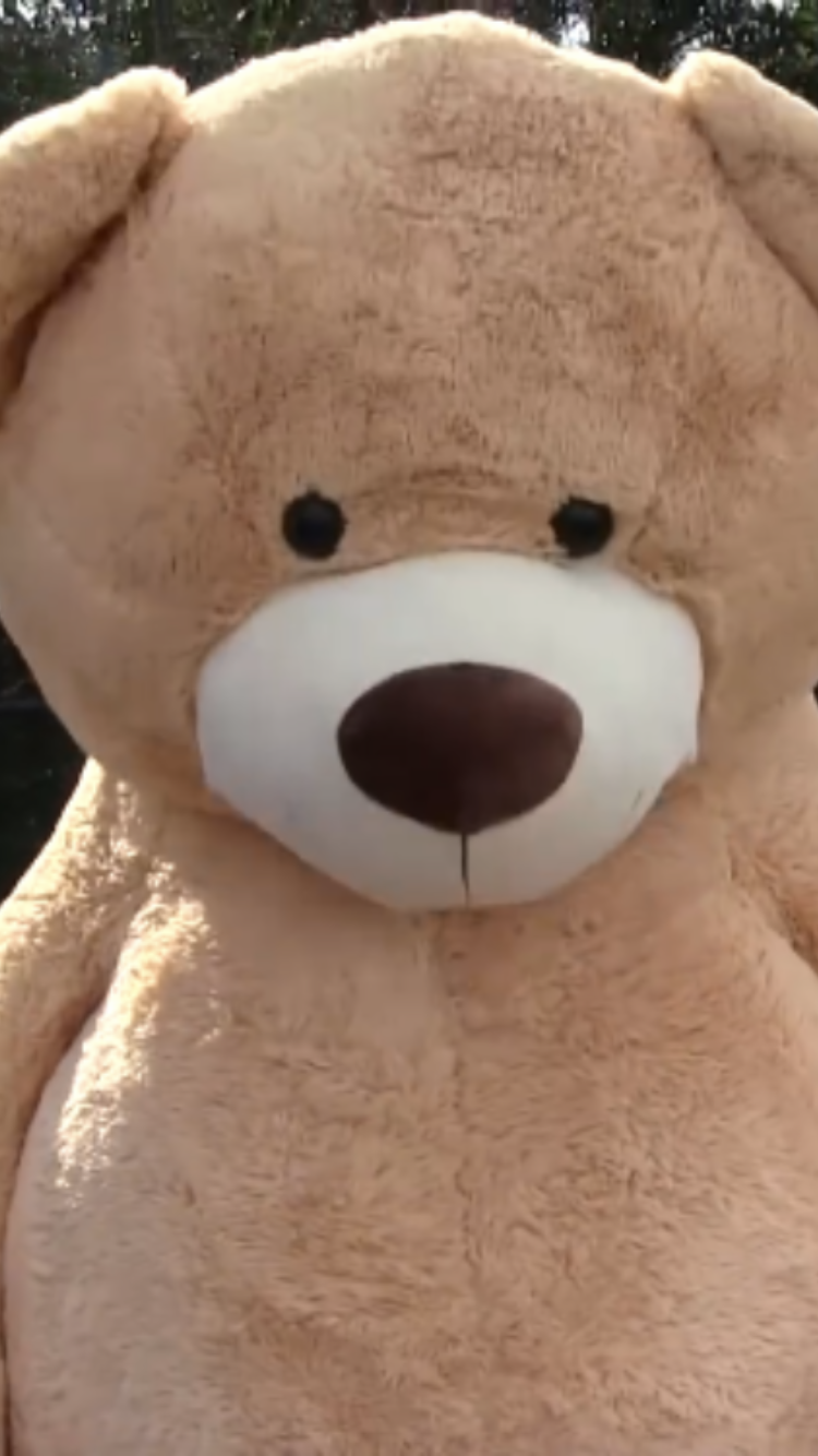 mario teddy bear