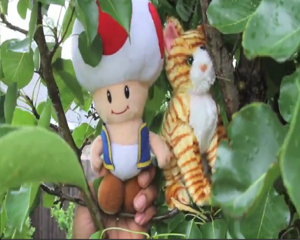 File:Toad.png