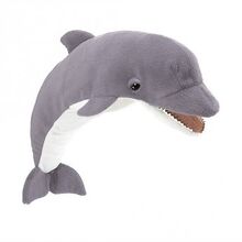 A dolphin
