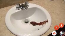 Sink Poop