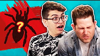 EATING REAL SPIDERS WITH JOSHUADTV