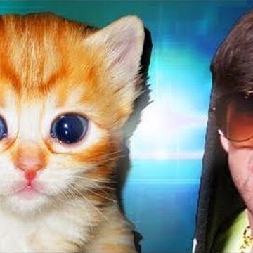Cute Furry Kittens Smosh Wiki Fandom