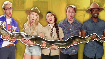 LOOK AT THIS CRAZY BIG SNAKE!