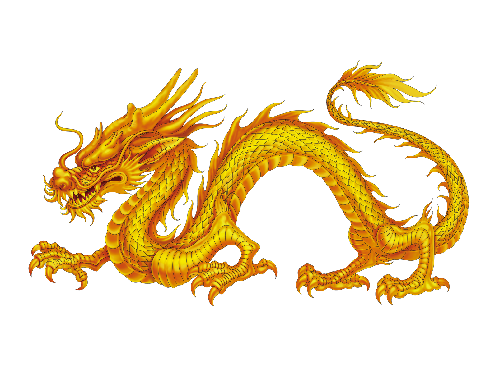 Image - Kisspng-china-chinese-dragon-japanese-dragon-dragon