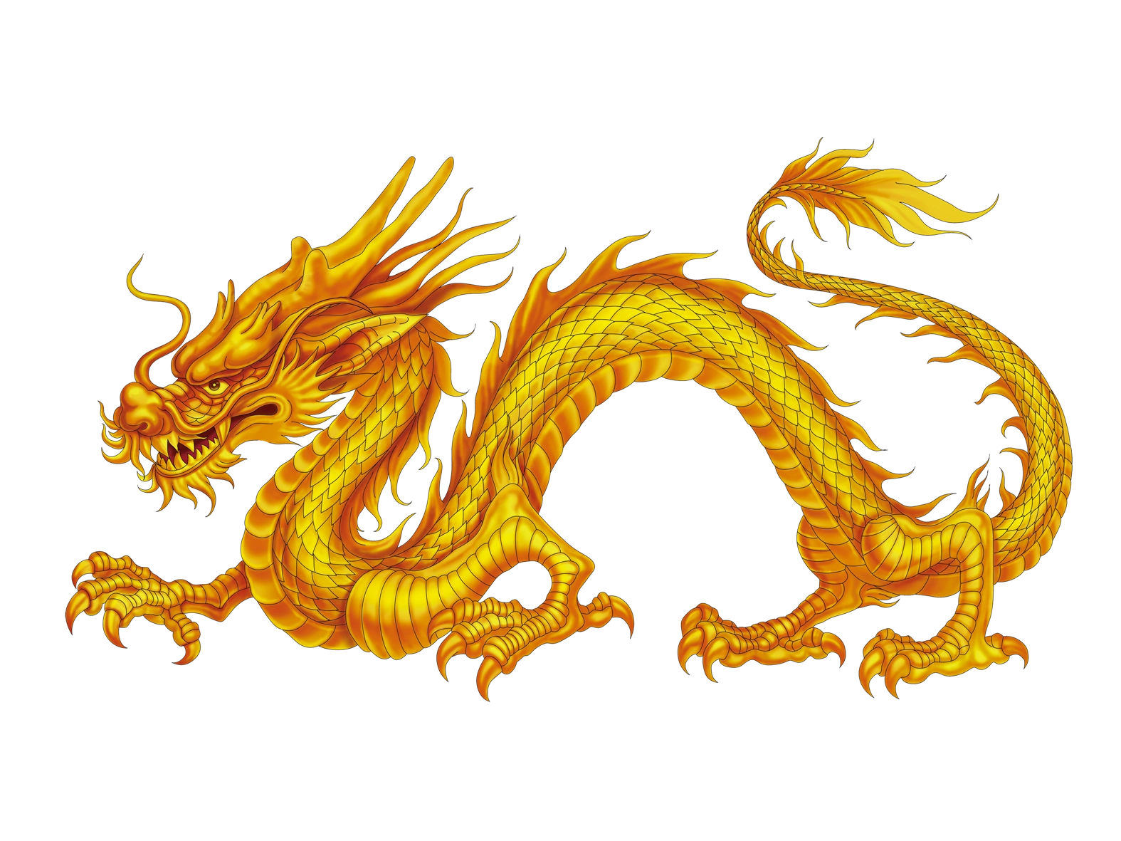 Image - Kisspng-china-chinese-dragon-japanese-dragon-dragon