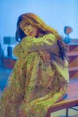 Luna night reminiscin photo