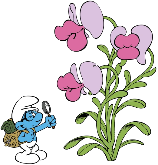 Image Brainykissingplant.png Smurfs Wiki FANDOM powered by Wikia
