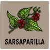 Sarsaparilla