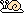 Moon Snail