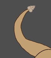 Princess Rattle's rattletail