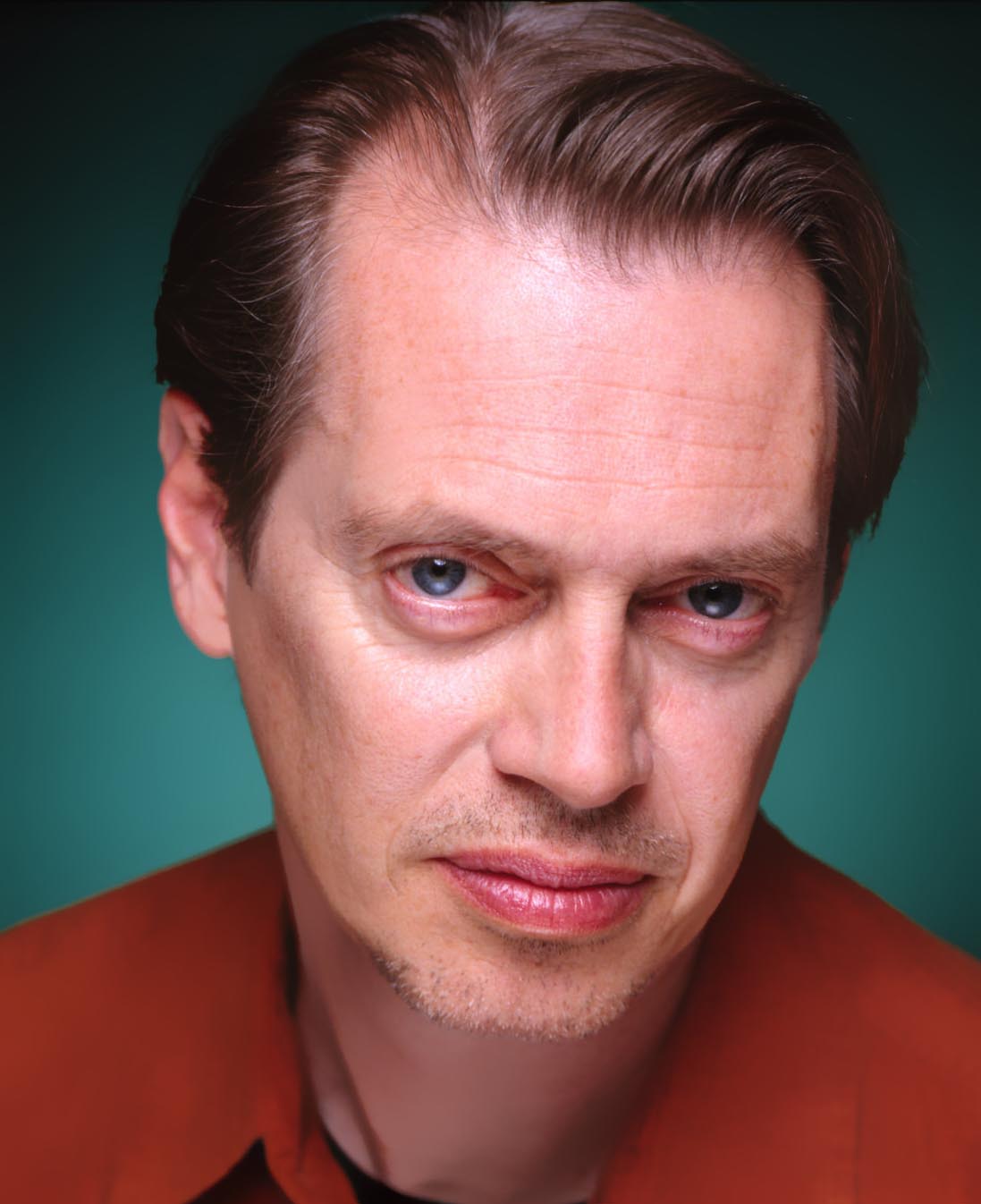 Next photo of Steve Buscemi