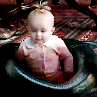 Incredibly Deadly Viper Lemony Snicket Wiki Fandom