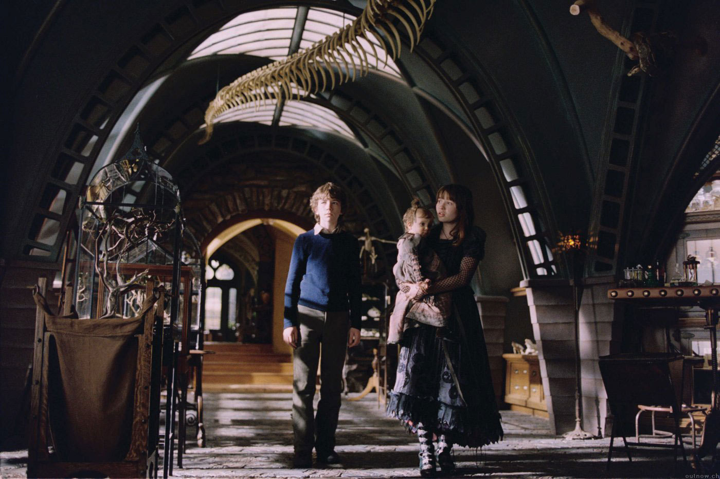 The Reptile Room Library Lemony Snicket Wiki Fandom