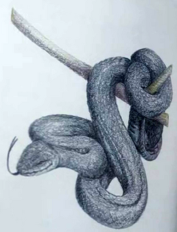 Mamba