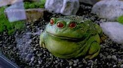 Tibetan Three-Eyed Toad