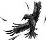 Vfd crow-0