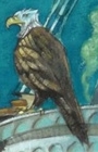 V.F.D. Eagle