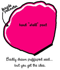 Puffapod
