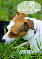 Cruppet4 zps4859d49f