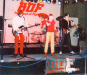 BOF robots