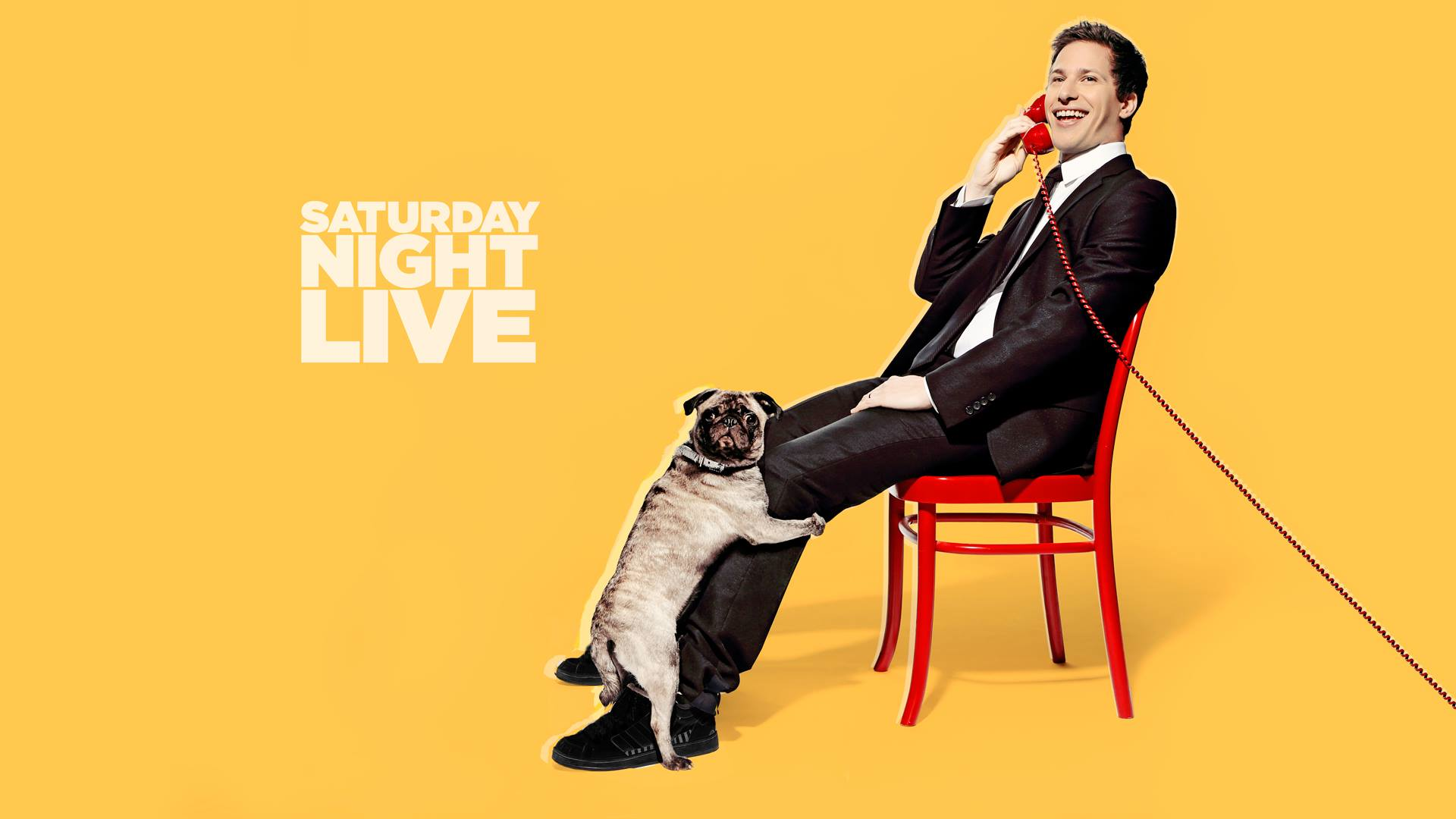 Kết quả hình ảnh cho snl adam samberg