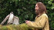 TheFalconer