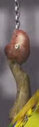 Horsemeat leg