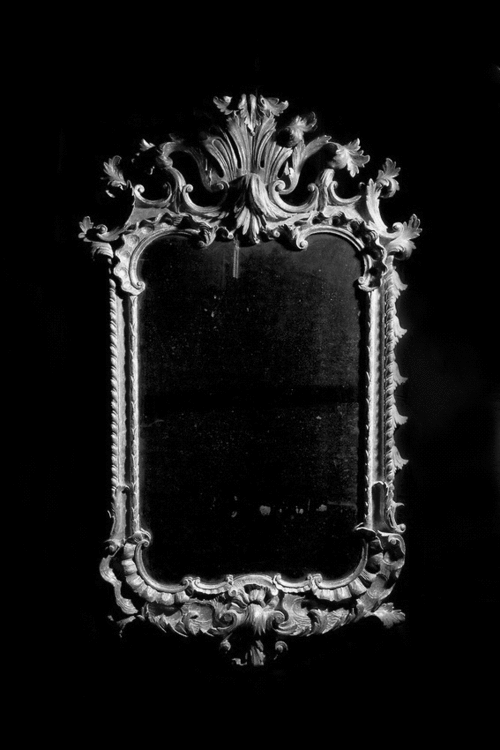 image illusion mirror gif