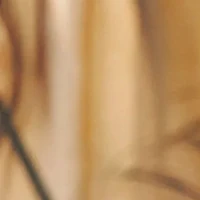 Sunny Girls Generation Wiki Fandom