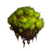 Ingredient-Moss-SmallIcon