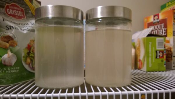 Sludge experiment1a shake 8