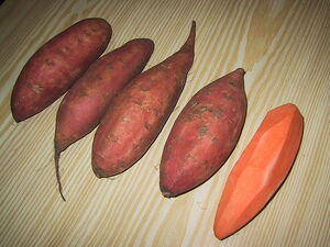 File-Sweet potatoes