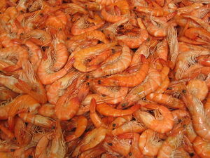 File-Langostinos-rafax