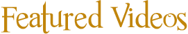Videobanner