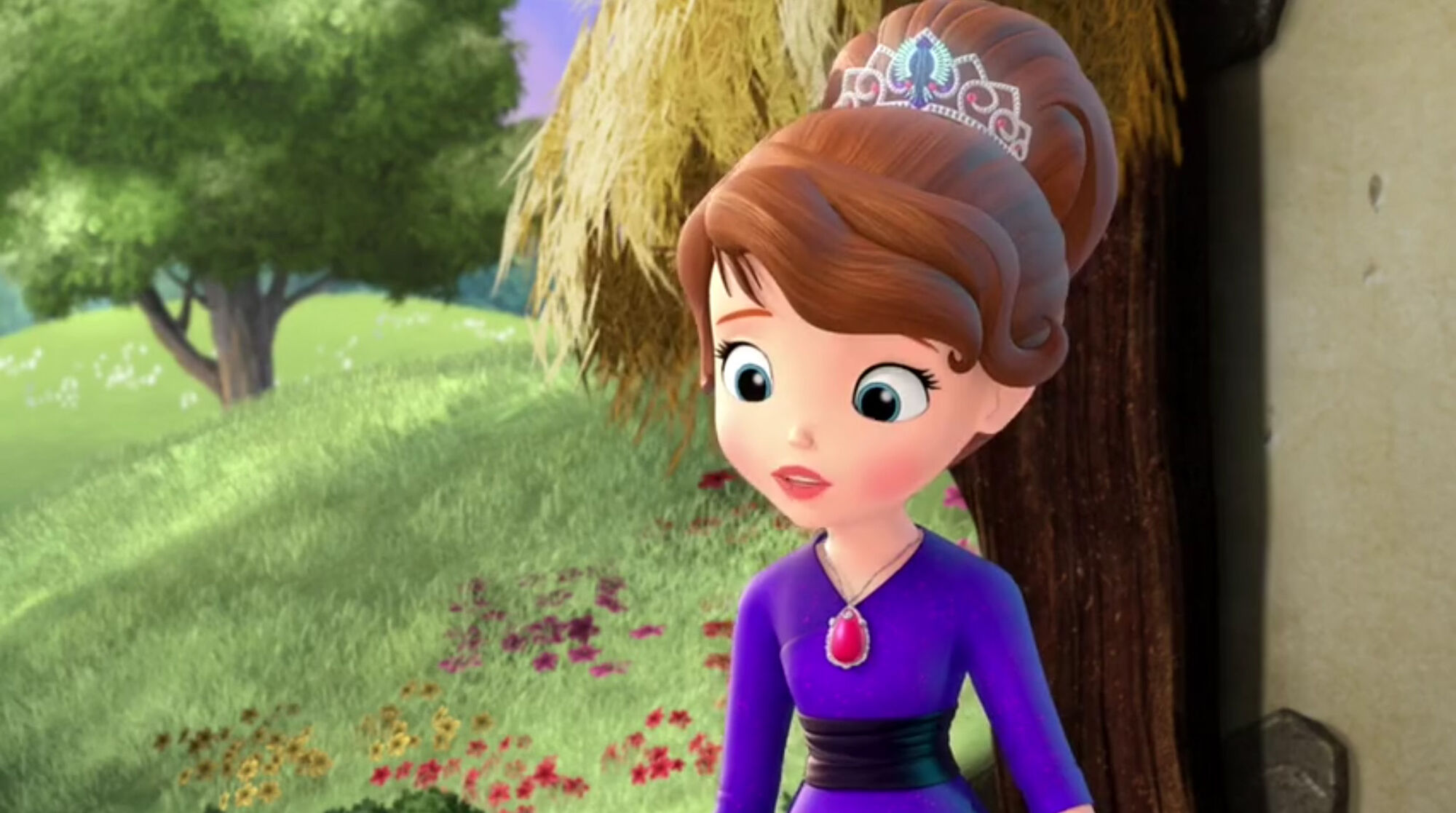 The Mystic Isles A Hero For The Hoodwinks Sofia The First Wiki